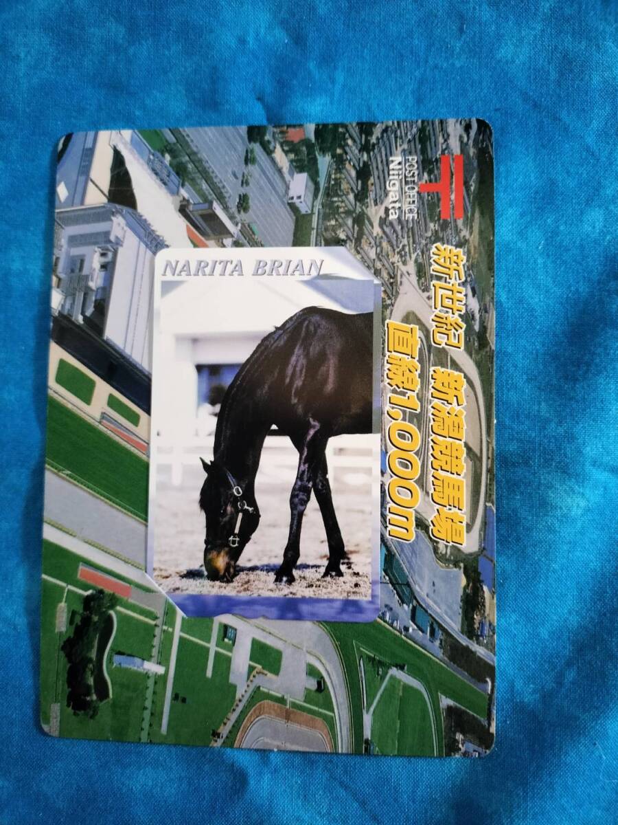 ④2-日本郵政《新世紀・新潟競馬場直線1000m・ナリタブライアン》ふみカード・未使用品拍卖