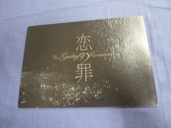 ⑰/邦画パンフ 「恋の罪」 水野美紀/神楽坂恵/冨樫真/岩松了/園子温拍卖