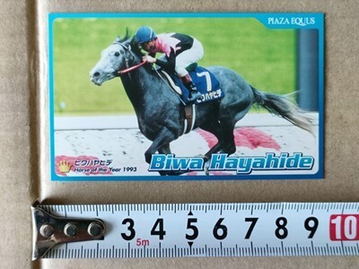 競馬 JRA 非売品 年度代表馬カード ビワハヤヒデ 1993年 菊花賞拍卖
