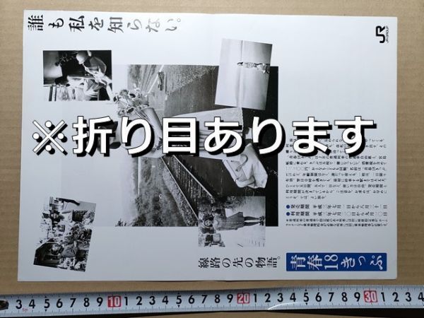 鉄道 チラシ JR東日本 青春18きっぷ 平成3年夏拍卖