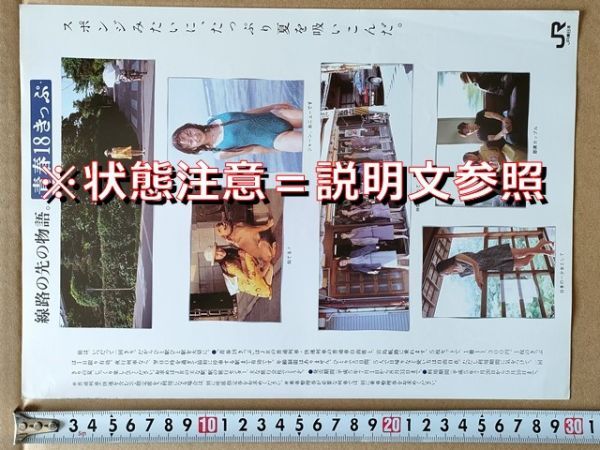 鉄道 チラシ JR東日本 青春18きっぷ 平成5年夏拍卖
