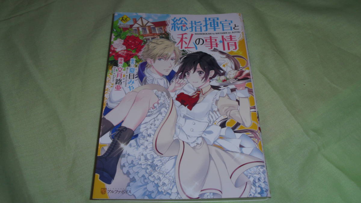 総指揮官と私の事情拍卖