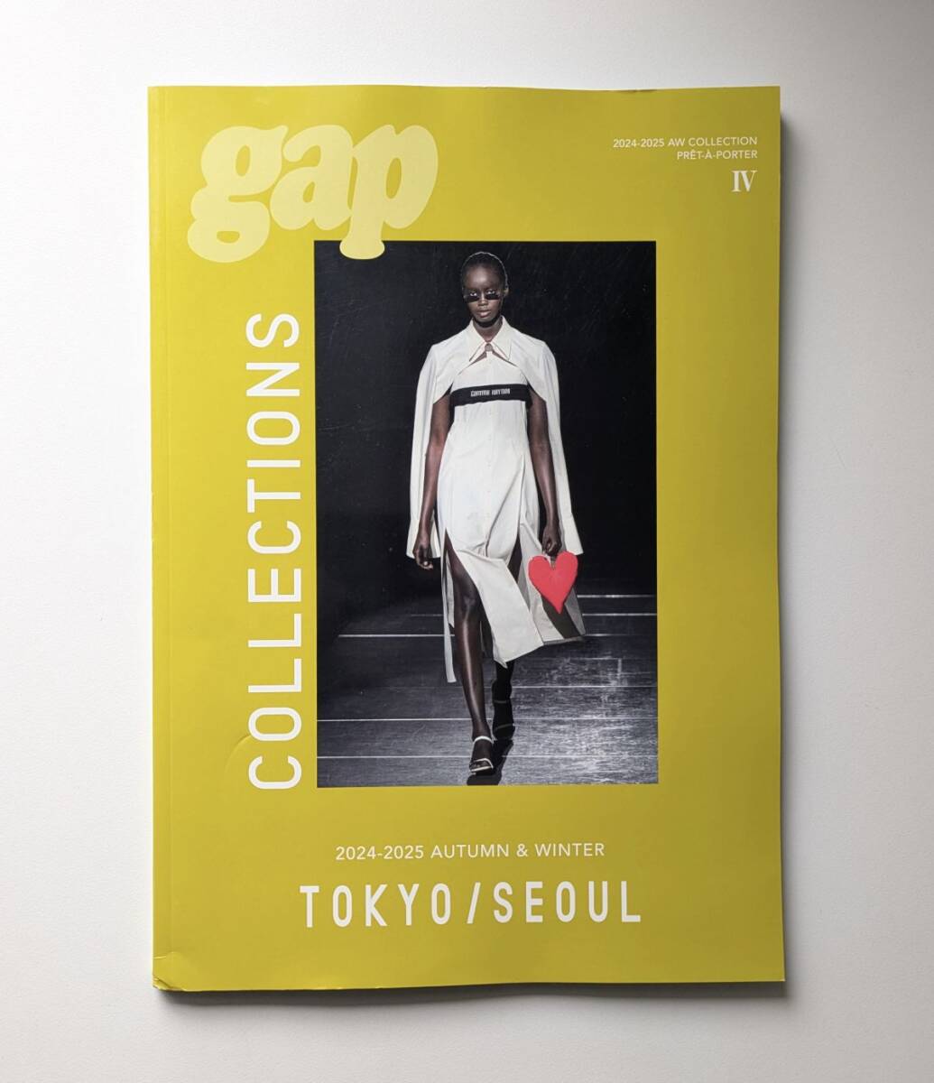 gap COLLECTIONS 2024-2025 AUTUMN&WINTER TOKYO / SEOUL 定価19800円 ダイリク HYKE ミスターイット拍卖