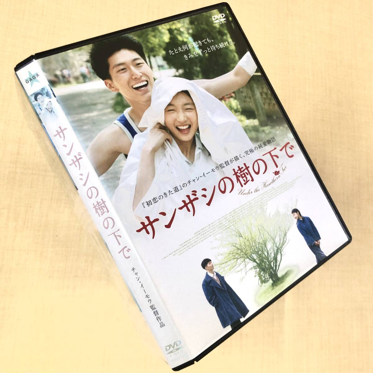 サンザシの樹の下で DVDレンタル落ち拍卖