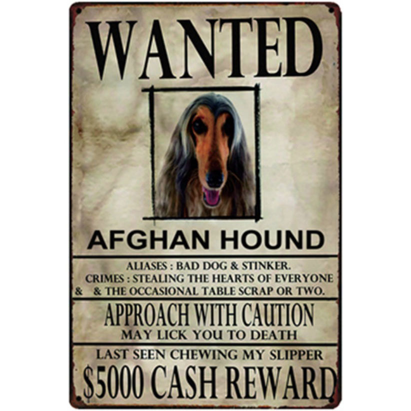 A2433 メタル サイン ブリキ 看板 金属製 プレート アメリカン雑貨 動物 募集 求む 犬 愛犬 アフガンハウンド 9947拍卖