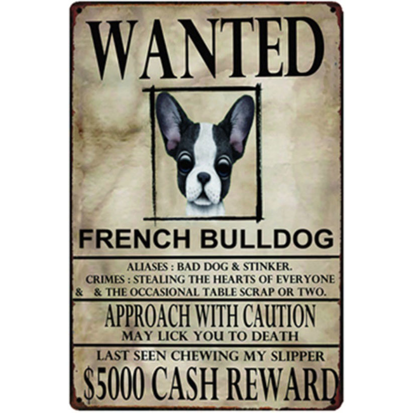 A2435 メタル サイン ブリキ 看板 金属製 プレート アメリカン雑貨 動物 募集 求む 犬 愛犬 フレンチブルドッグ 9945拍卖