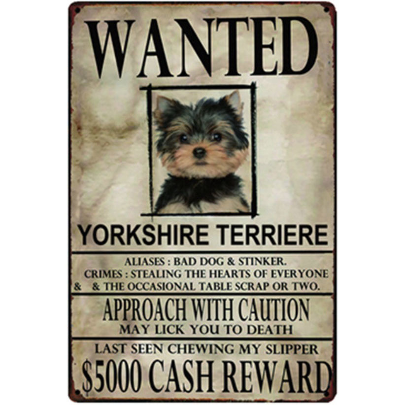 A2442 メタル サイン ブリキ 看板 金属製 プレート アメリカン雑貨 昭和レトロ 募集 求む 犬 愛犬 ヨークシャーテリア 9955拍卖