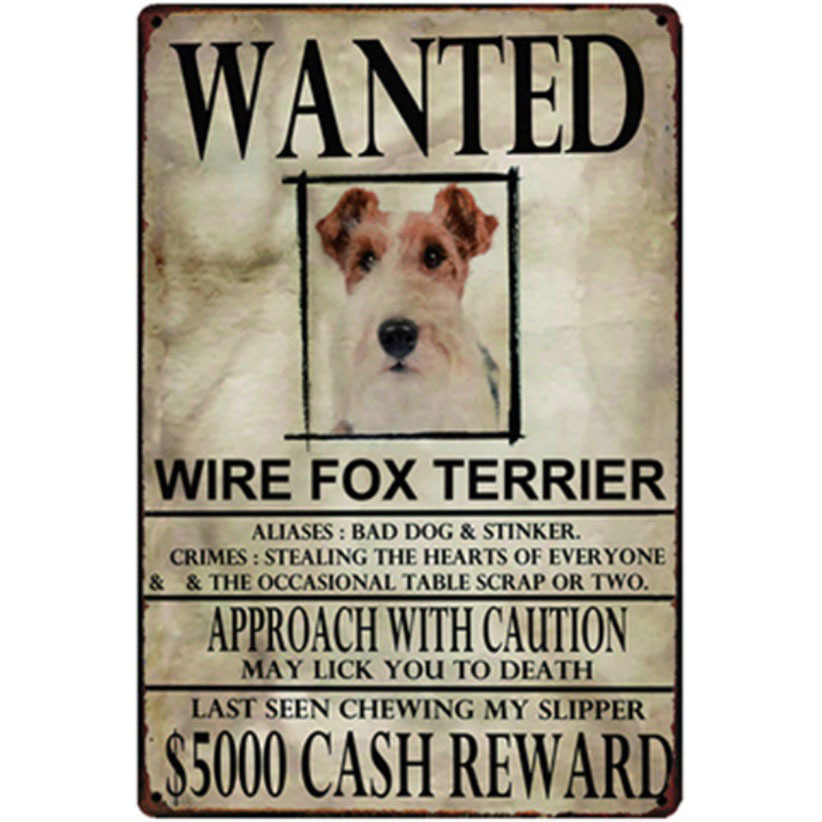 A2443 メタル サイン ブリキ 看板 金属製 プレート 動物 ペット 募集 求む 犬 愛犬 番犬 ワイアーフォックステリア 9956拍卖