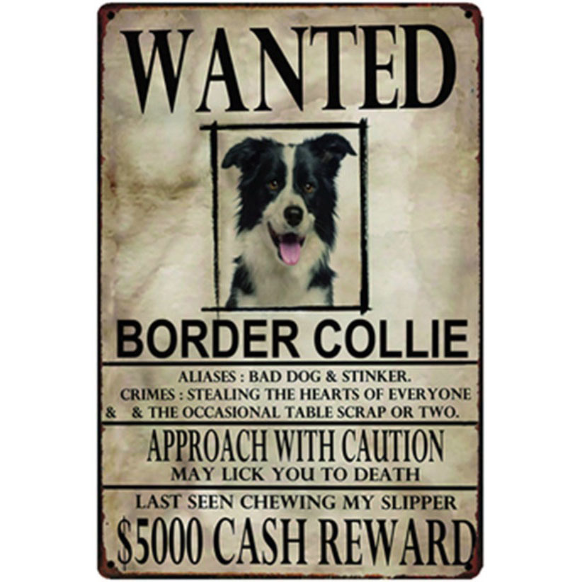 A2447 メタル サイン ブリキ 看板 金属製 プレート アメリカン雑貨 昭和レトロ 動物 募集 求む 犬 愛犬 ボーダーコリー 9962拍卖