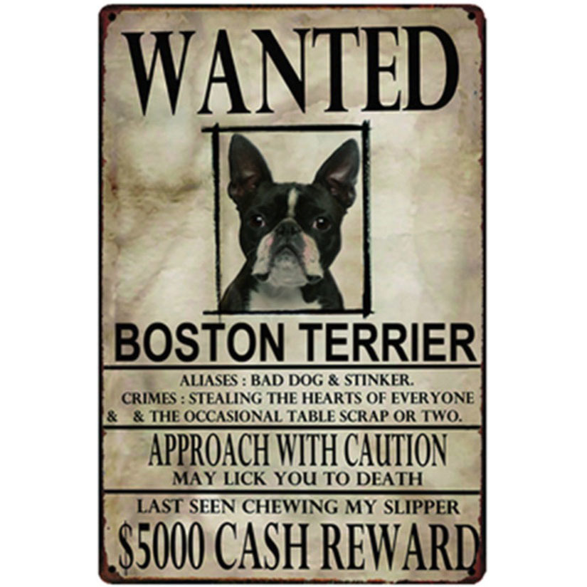 A2436 メタル サイン ブリキ 看板 金属製 プレート アメリカン雑貨 昭和レトロ 動物 募集 求む 犬 愛犬 ボストンテリア 9961拍卖