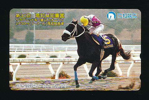 ●982●高知競馬★第30回県知事賞・マルカイッキュウ号 【テレカ50度】● 拍卖