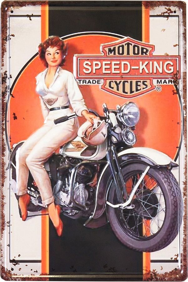 アンティーク エンボスプレート SPEED KING LADY アメリカン雑貨 店舗 壁掛 インテリア 飾り オブジェ おしゃれ拍卖