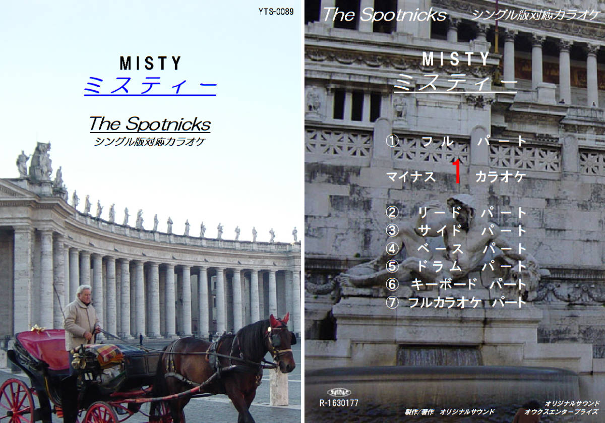 YTS-089 スプートニクスカラオケ ミスティー 試聴OK コード譜閲覧可 THE SPOTNICKS MISTY拍卖