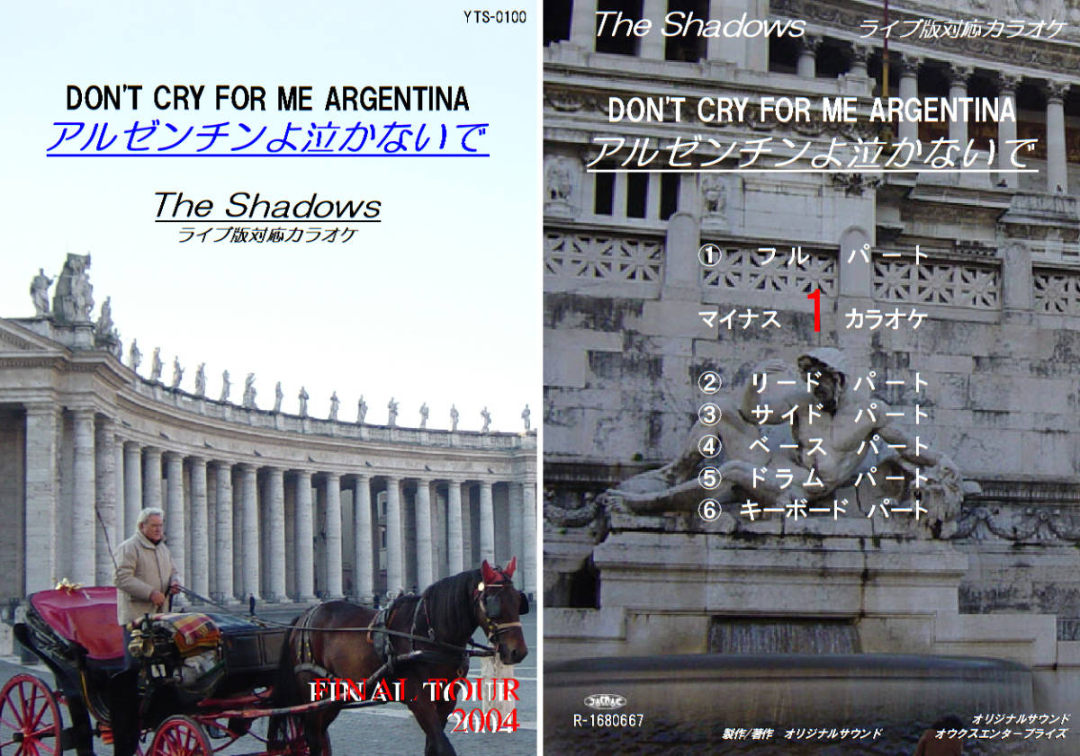 YTS-100 シャドウズカラオケ アルゼンチンよ泣かないで 試聴OK コード譜閲覧可 Shadows Don't Cry For Me Argentina拍卖