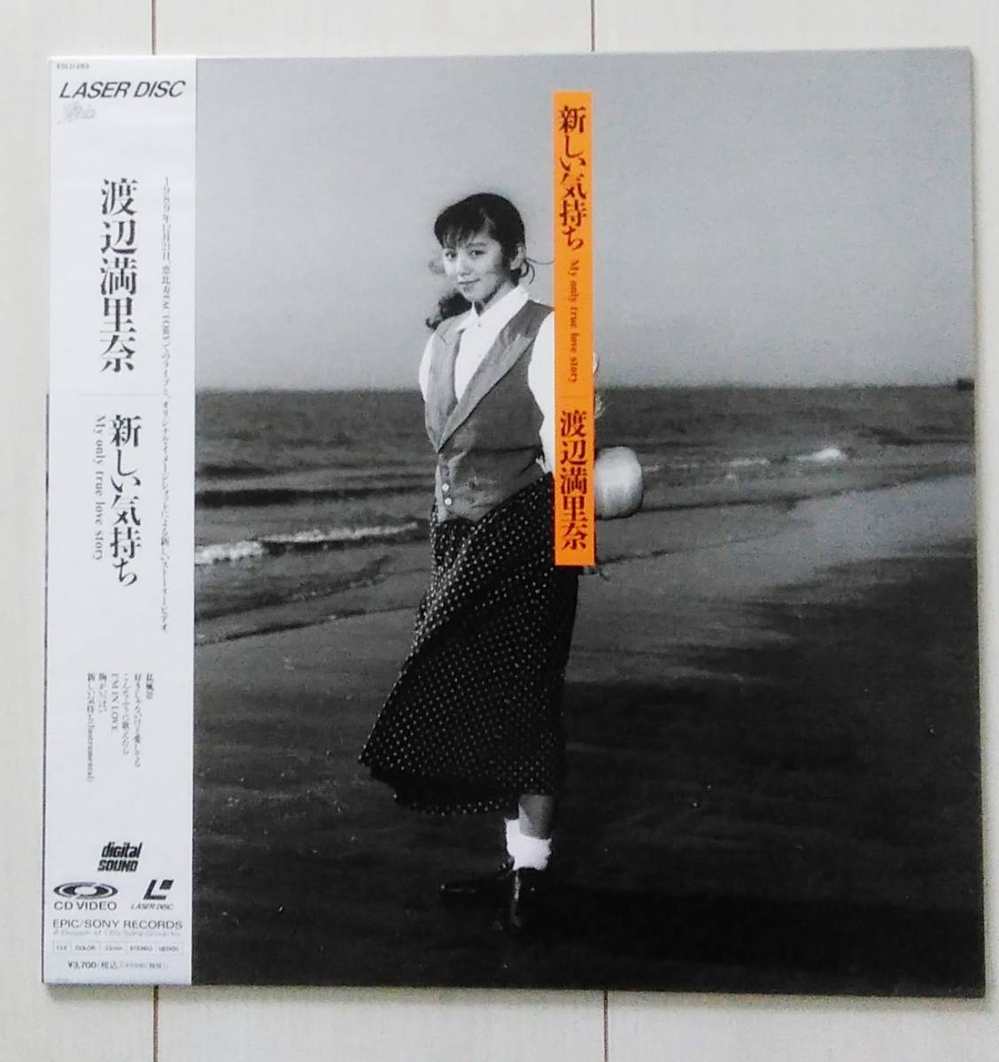 〓LD 渡辺満里奈 〓 新しい気持ち拍卖