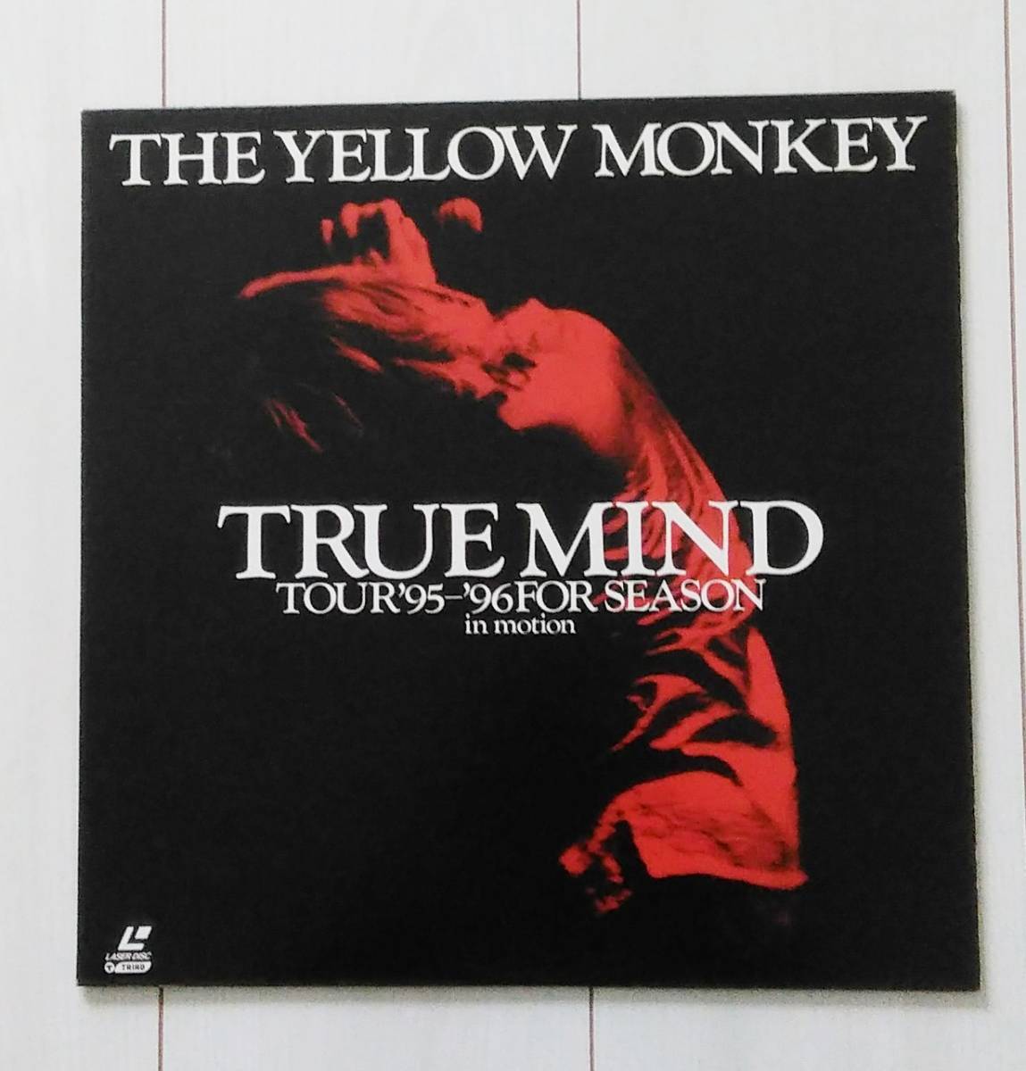 〓LD ザ・イエロー・モンキー 〓 TRUE MIND TOUR'95-'96FOR SEASON in motion / THE YELLOW MONKEY拍卖