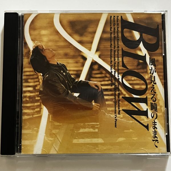 B33820 CD(中古)ブロー/BLOW■ 風が見える瞳のままで拍卖