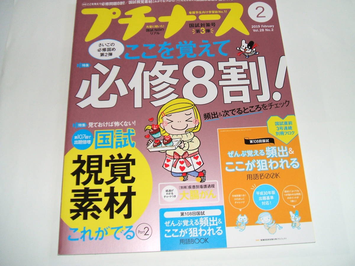 新品★プチナース 2019年2月号 ここを覚えて必修8割!/国試視覚素材 これがでるPart2拍卖