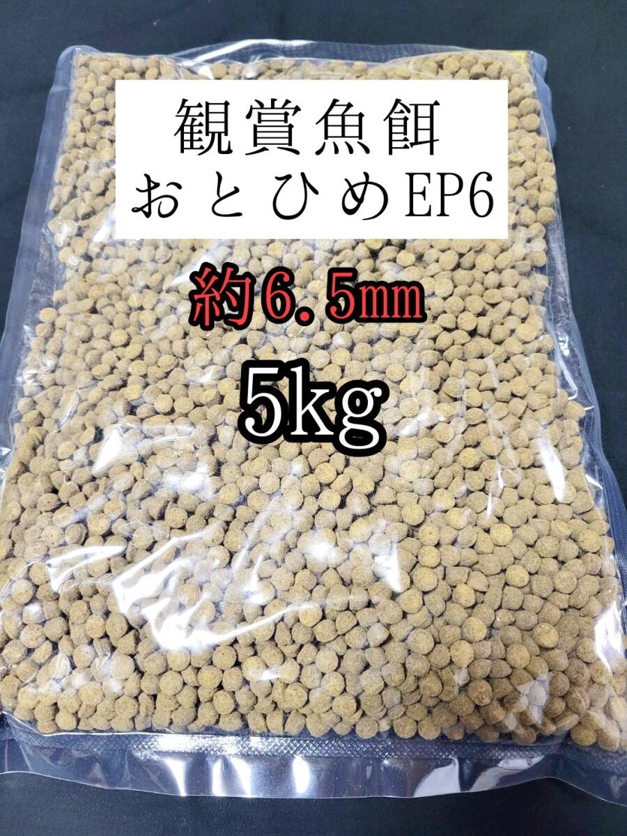 観賞魚の餌 約6.5mm おとひめEP6 5kg 日清丸紅飼料 熱帯魚 錦鯉 エイ 大型魚拍卖