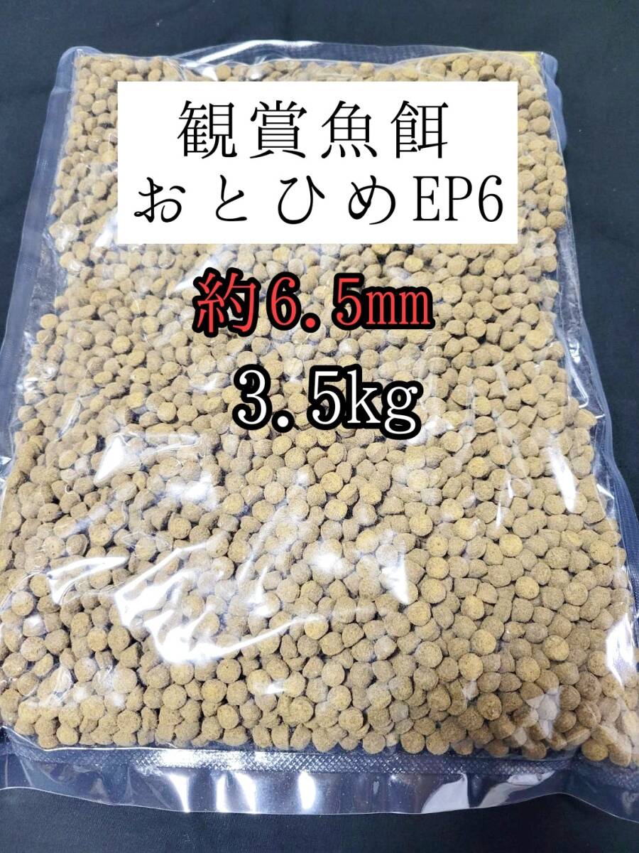 観賞魚の餌 約6.5mm おとひめEP6 3.5kg 日清丸紅飼料 熱帯魚 錦鯉 エイ 大型魚拍卖