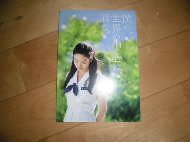 映画パンフレット/僕の、世界の中心は、君だ。/ソン・ヘギョ/チャ・テヒョン/拍卖