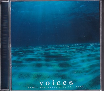 CD 角松敏生 voices under the water/in the hall 2CD拍卖