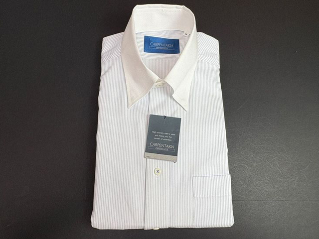半19 えり回り38 CARPENTARIA 半袖ドレスシャツ ワイシャツ拍卖