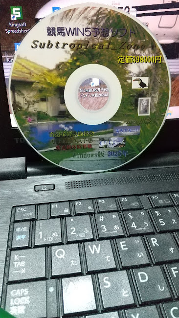 競馬WIN5予想ソフト Windows版拍卖