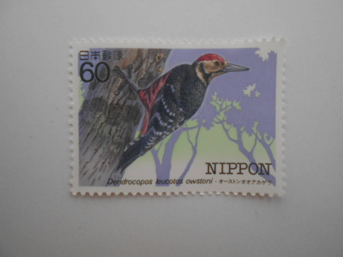 特殊鳥類第5集 オーストンオオアカゲラ 未使用60円切手(6009)拍卖