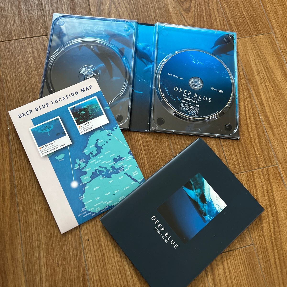 ■ディープ・ブルー DVD スペシャルエディション 特典ディスク パーフェクトガイド マップ ※本編DVDなし拍卖