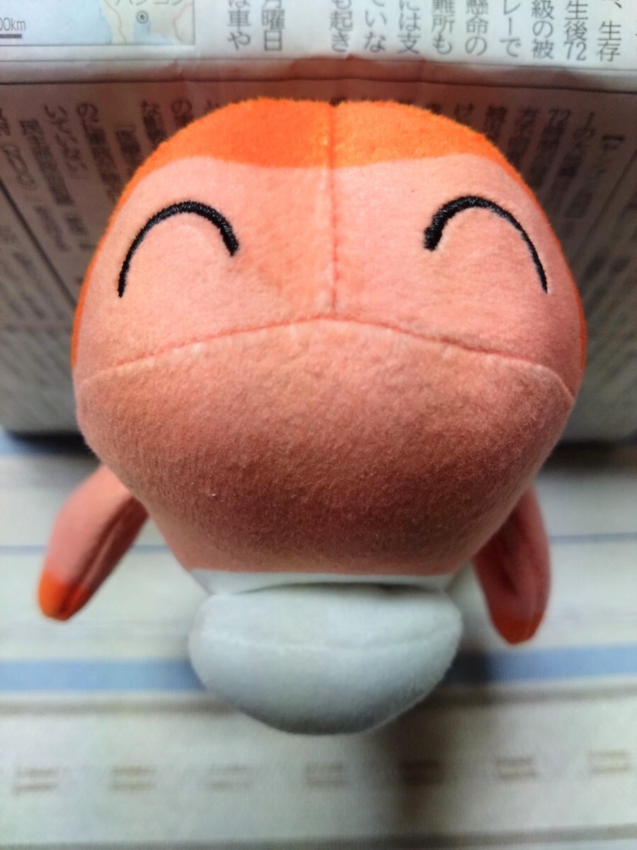 ☆ ポケモンぬいぐるみ 〜ミニリュウ・ボーマンダ・シャリタツ(そったすがた)〜 未使用品!拍卖