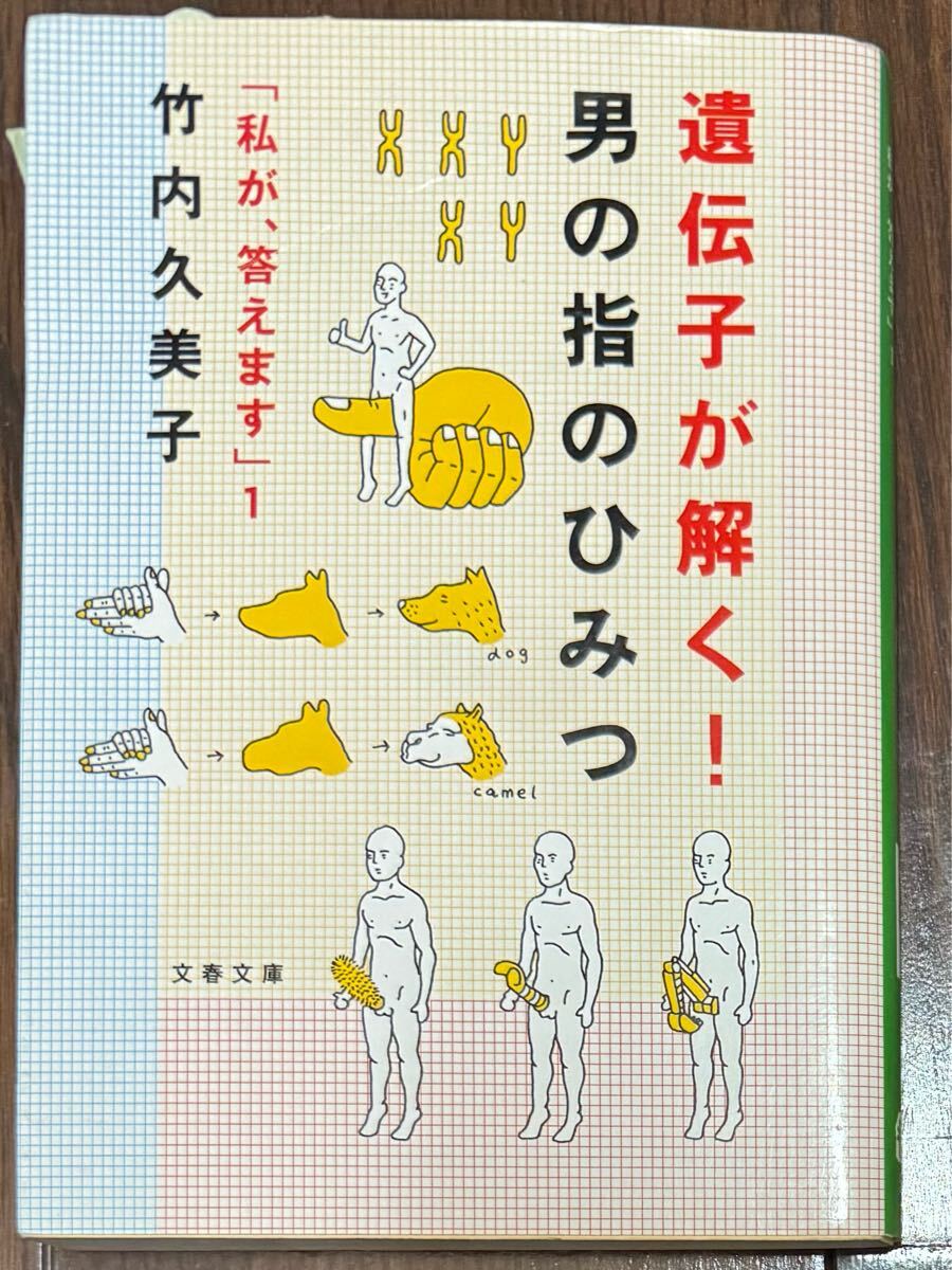 遺伝子が解く!男の指のひみつ 竹内久美子 文春文庫拍卖