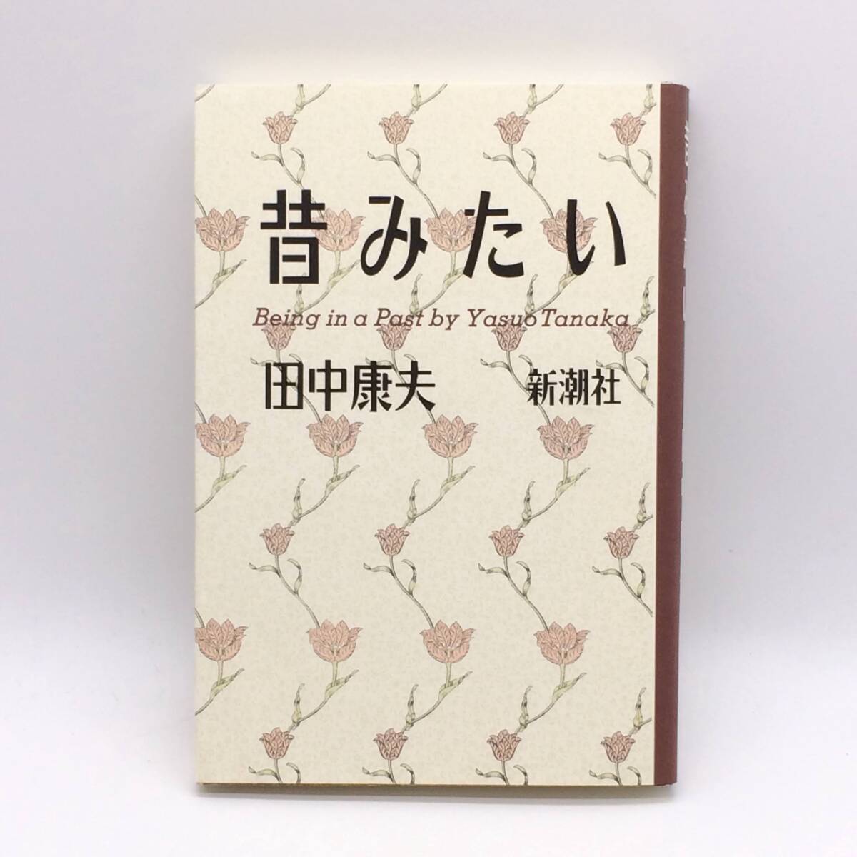 BY250529 昔みたい 新潮社 田中康夫 1987年拍卖