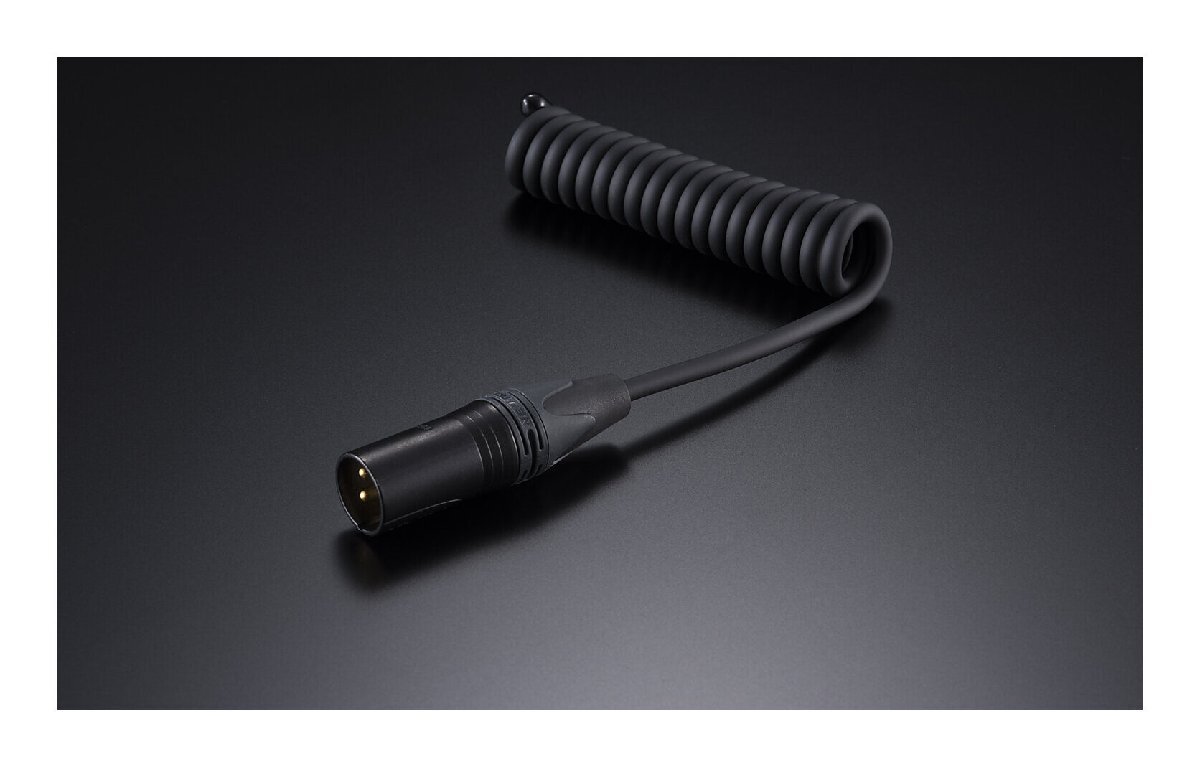 即決◆新品◆送料無料aet EVO-NE0510NI-XM/XLRオス端子 ノイズイジェクター アンプの空き端子からノイズを放電し音質アップ拍卖