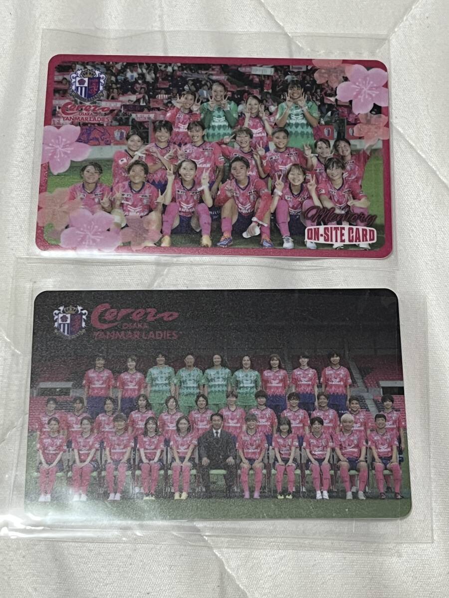 セレッソ大阪ヤンマーレディース スペシャルオンサイトカード 2枚 セレッソストア 限定販売拍卖