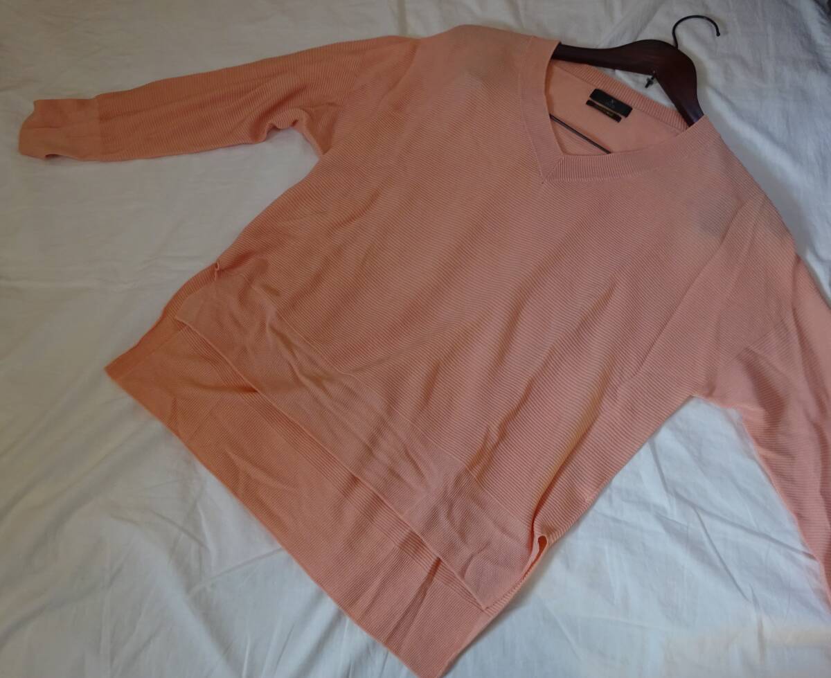 イネド INED サマーニット カットソー 13号 大きいサイズ サーモンピンク拍卖