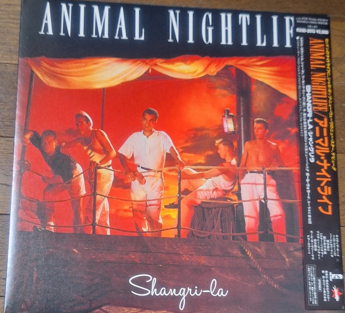 折込帯付LP (25D-2013)★アニマル・ナイトライフ/ Animal Nightlife ★1985年1st『シャングリラ/ Shangri-la』拍卖