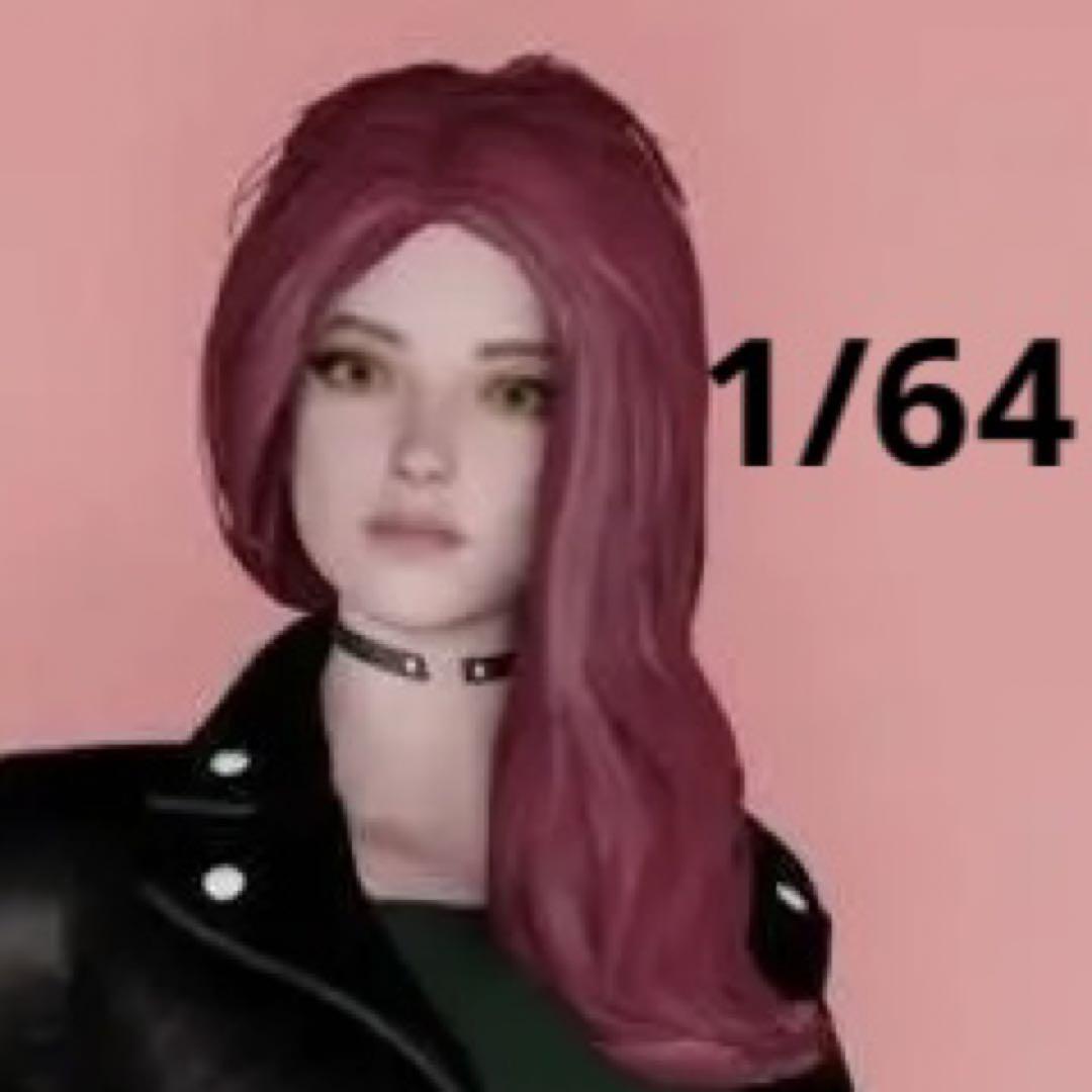 1/64 DGS-01 フィギュア 完成品 ミニカーに ミニチュア拍卖