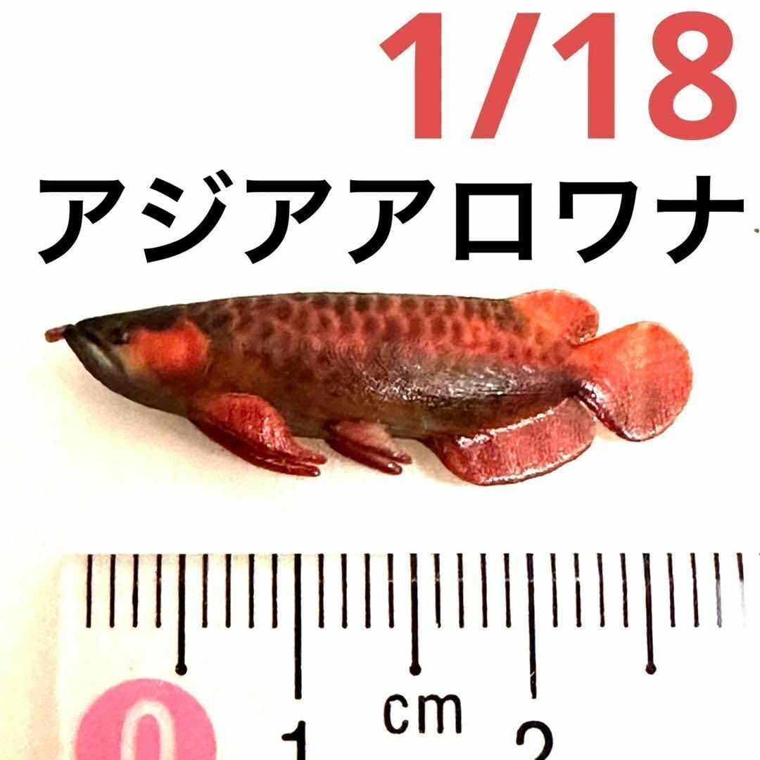 1/18 アジアアロワナ アロワナ 魚 ミニチュア フィギュア 1/64より大 リアルフィギュア ドールハウスに ミニチュアイメージ 拍卖