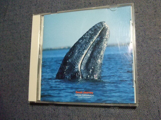 CD★Great Journey/坂口博樹 ニューエイジ/イージー・リスニング★8枚まで送料160円 さ拍卖
