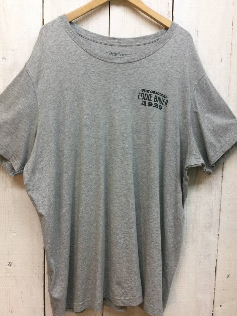 EDDIE BAUER エディーバウアー コットン半袖Tシャツ バックプリント Tシャツ メンズXXL 大きめ 良品 拍卖