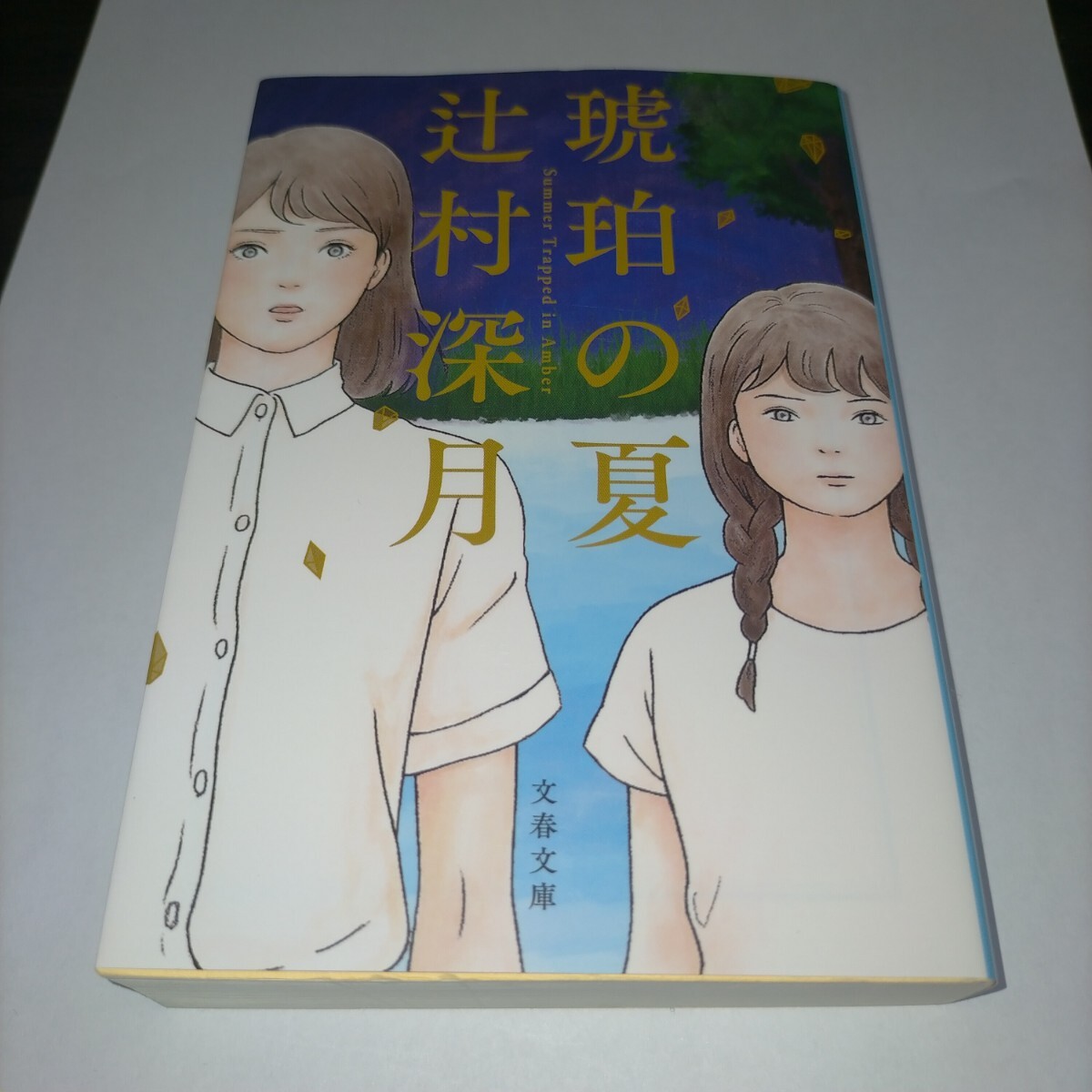 琥珀の夏 (文春文庫 つ18-7) 辻村深月/著 保管a拍卖
