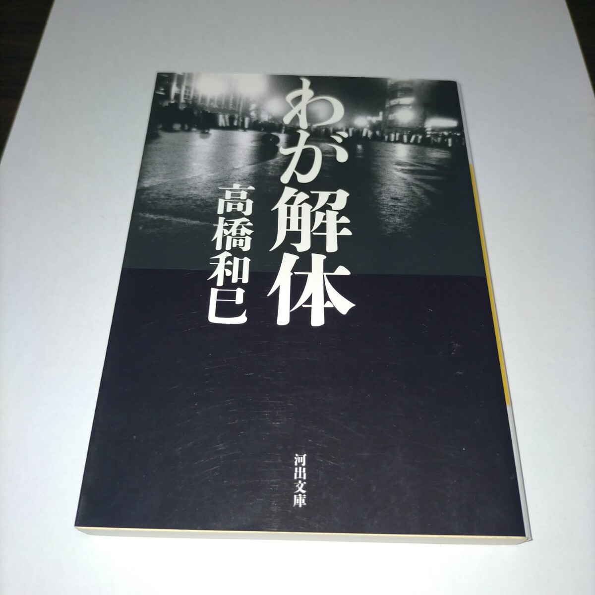 わが解体 (河出文庫 た13-17) 高橋和巳/著 保管d拍卖