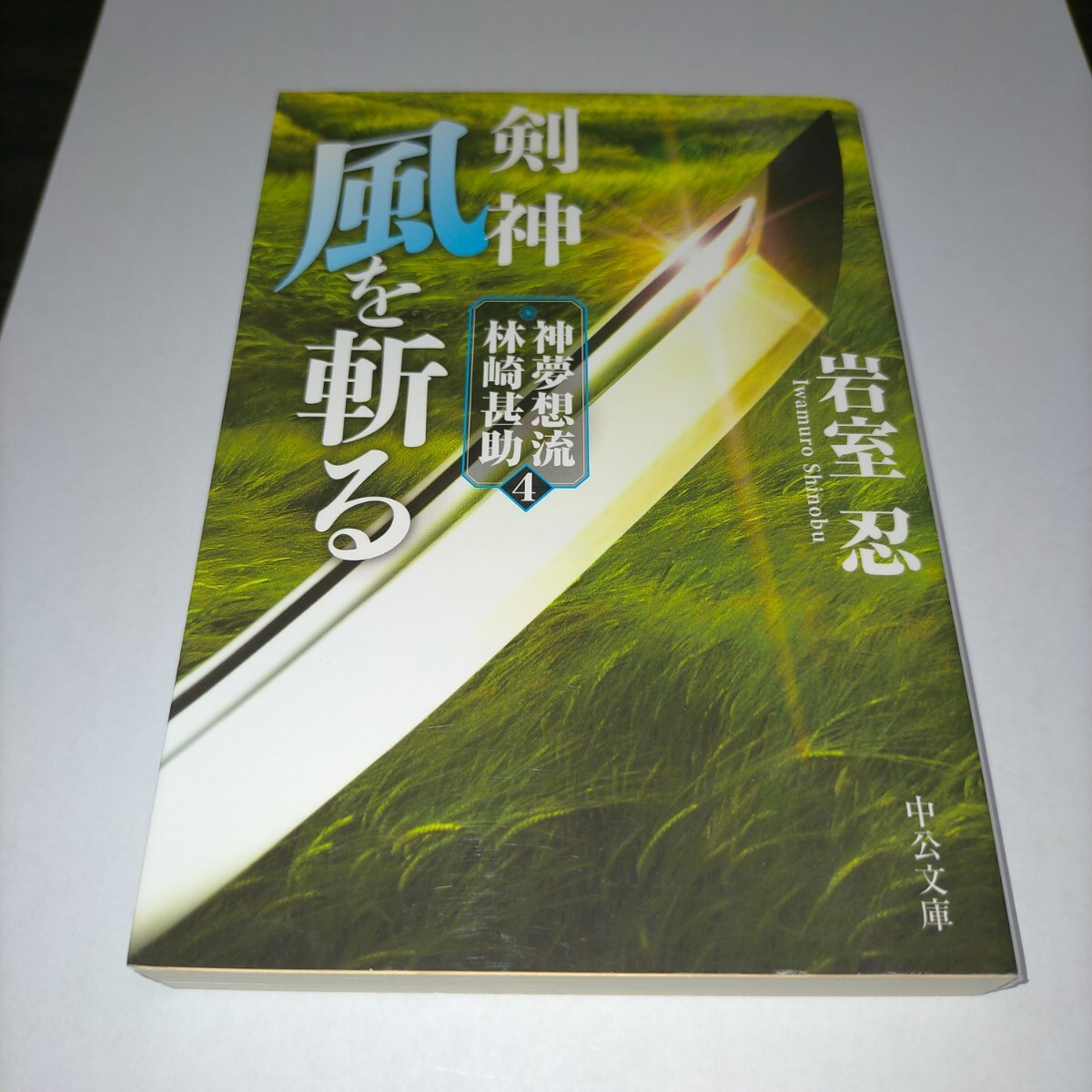 剣神風を斬る (中公文庫 い138-4 神夢想流林崎甚助 4) 岩室忍/著 保管j拍卖