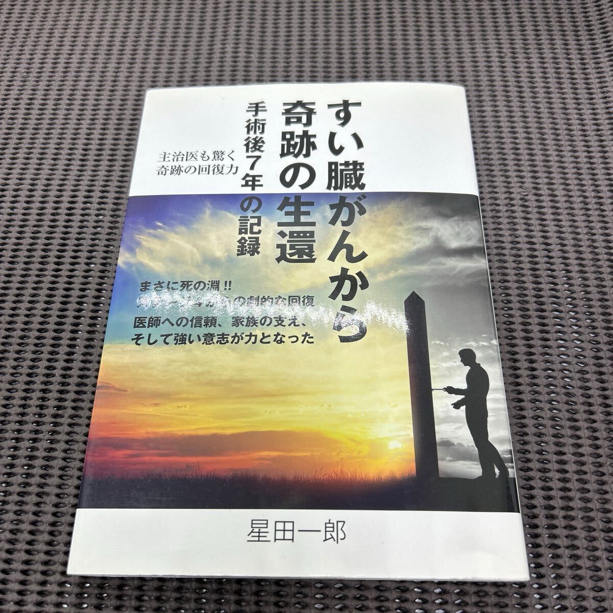 すい臓がんから奇跡の生還: 手術後7年の記録/星田一郎/中央公論事業出版/H250505-1*51拍卖