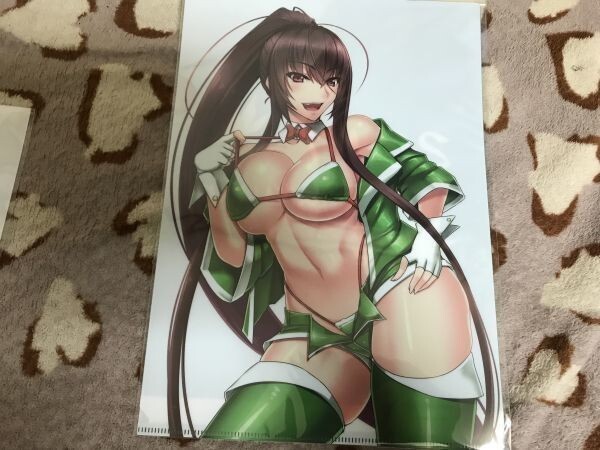 d014クリアファイル 秋月からす /黒白デザイア メロンブックス特典 水着 COMIC1☆12 キズナMAXライダーさん拍卖