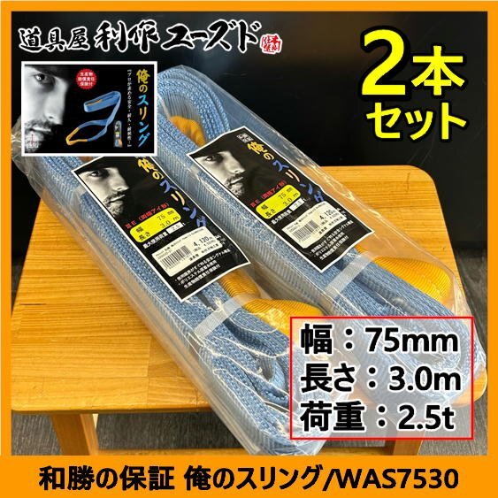 【アウトレット品!!定価の74%OFF!!】和勝 俺のスリング(両端アイ形)/WAS7530×2本セット『幅75mm』『長さ3.0m』『最大使用荷重2.5トン』拍卖
