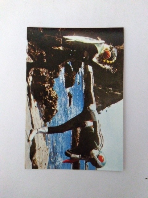 2003年 カルビー 仮面ライダーチップスカード 251拍卖