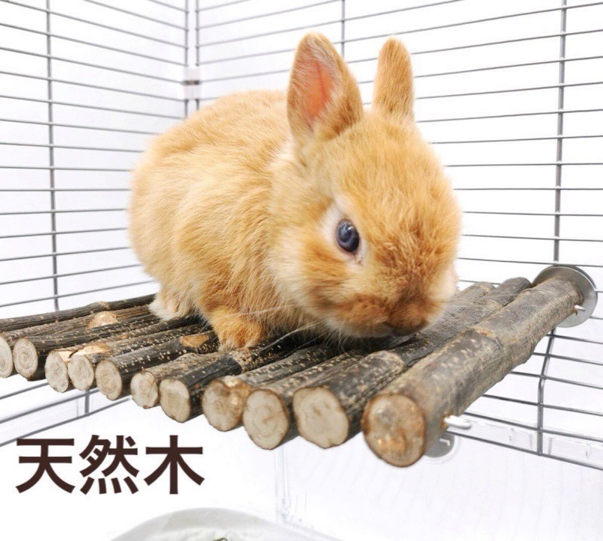 小動物 ステージ ステップ 止まり木 天然木 遊び場 ラット ハムスター 拍卖