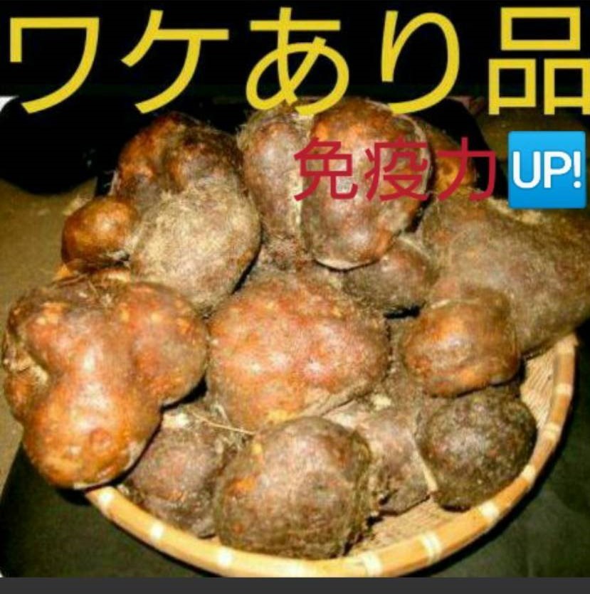全国送料無料 丹波山の芋 ワケあり 1キロ (3〜7個) お手頃 つくね芋 山芋 とろろ スーパーフード 毎日 胃腸に良い 健康対策拍卖